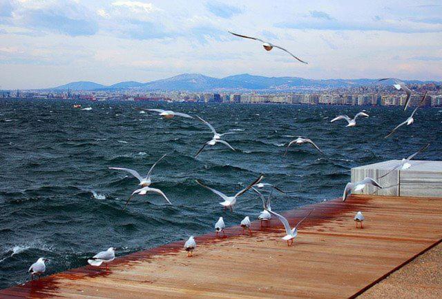 Blue City Center Boutique Apartment Thessaloniki Buitenkant foto